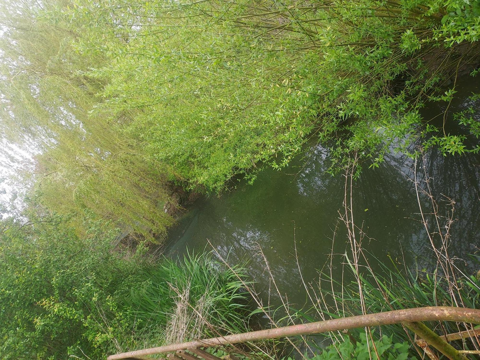 Au Chant Des Grenouilles Patay Exteriör bild